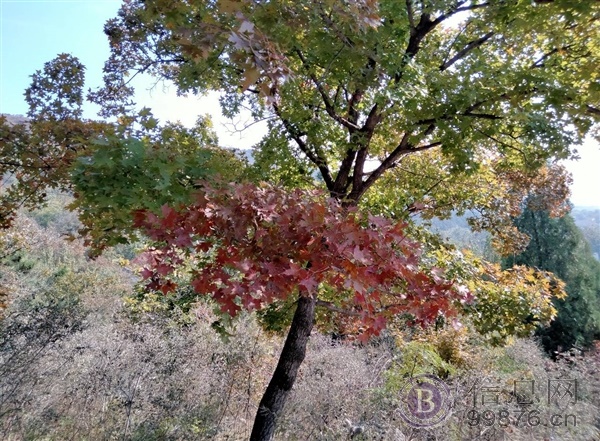 承接潍坊全地区货运业务 发往全国